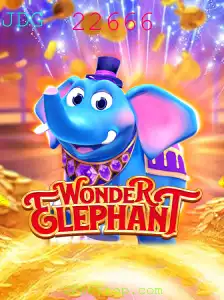Explorando o Mundo Fascinante de WonderElephant